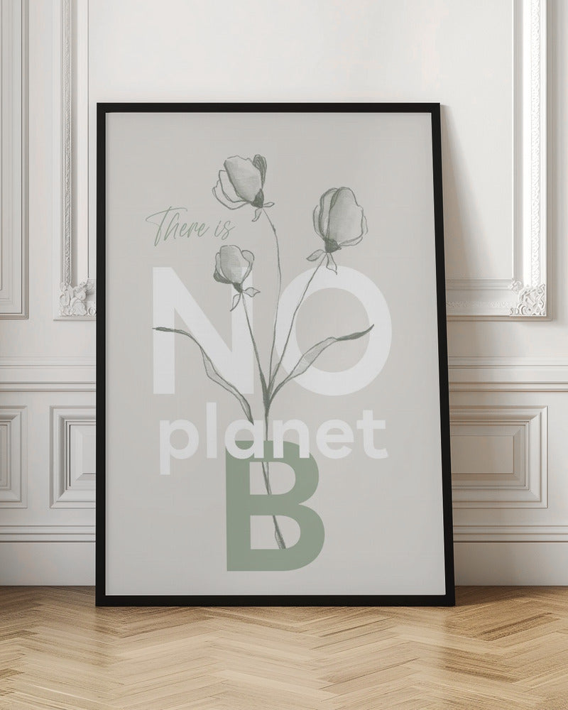 There is no planet B Poster