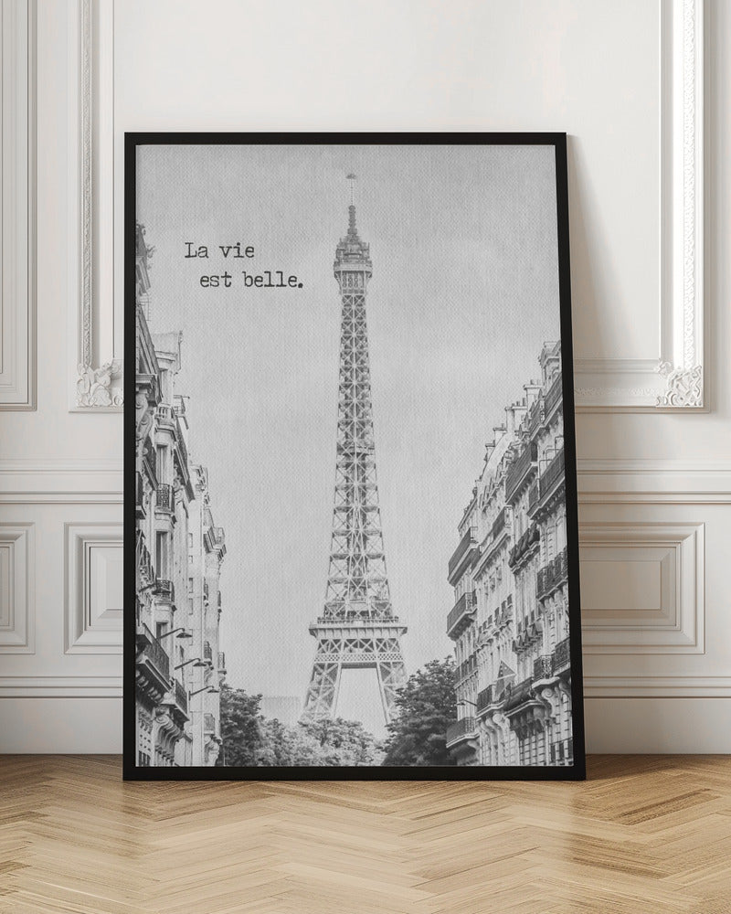 PARIS La vie est belle Poster