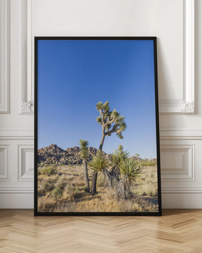 Idyllic Joshua Tree National Park Poster