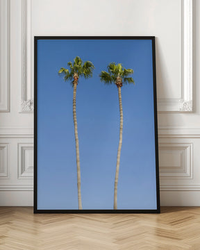 Idyllic Palm trees Poster