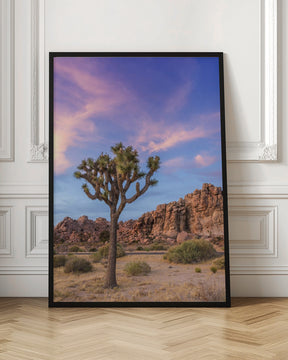 Joshua Tree Evening Atmosphere Poster