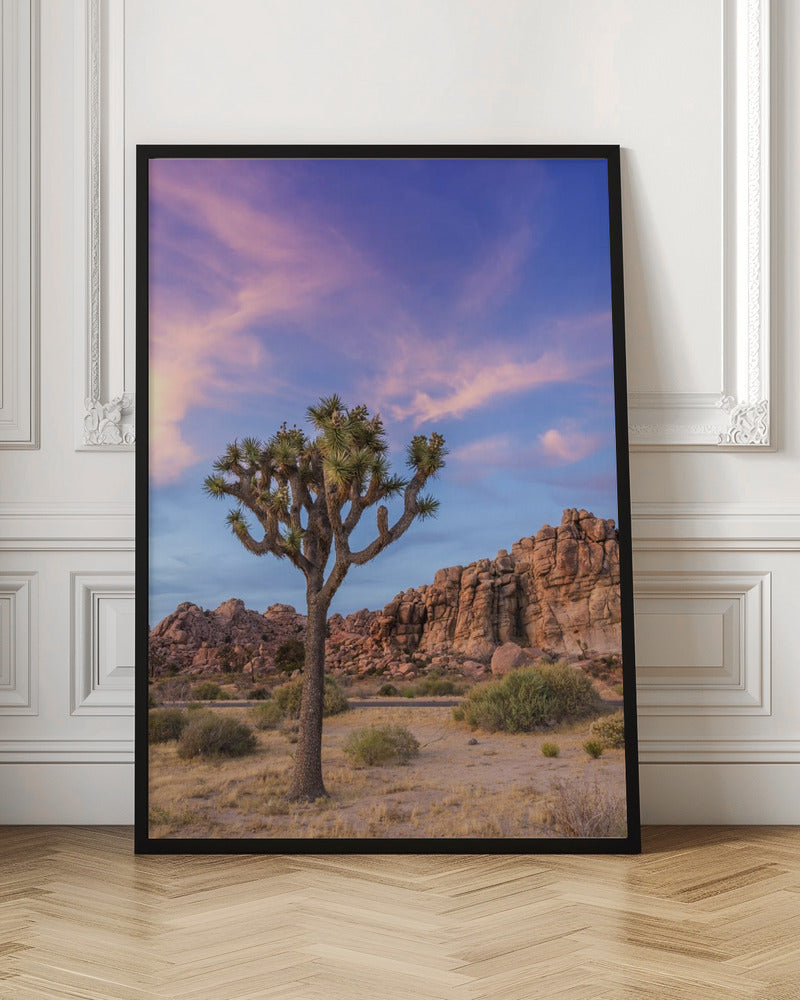 Joshua Tree Evening Atmosphere Poster