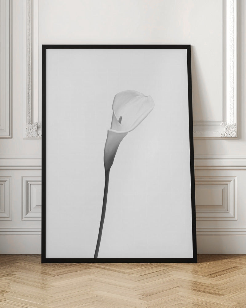 Calla | bright design Poster