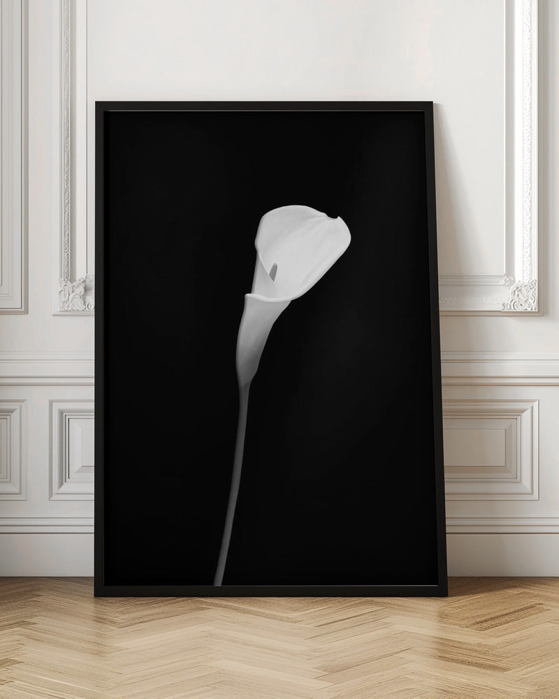 Calla | dark design Poster