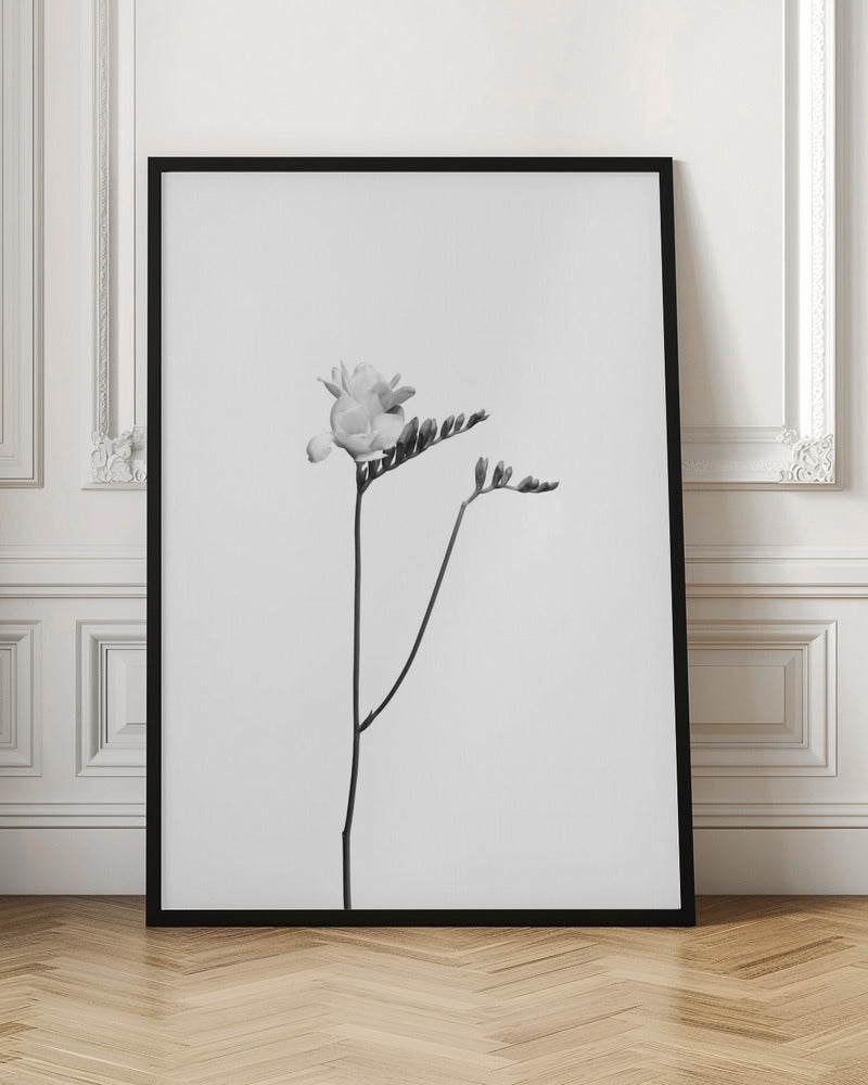 Freesia | bright design Poster