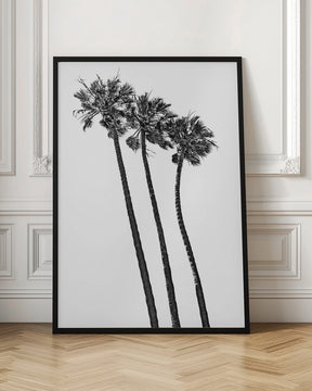 Summer idyll with palm trees Poster