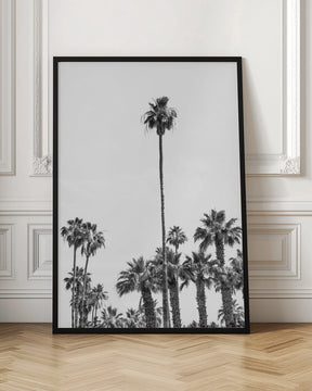 Palm Trees at the beach | monochrome Poster