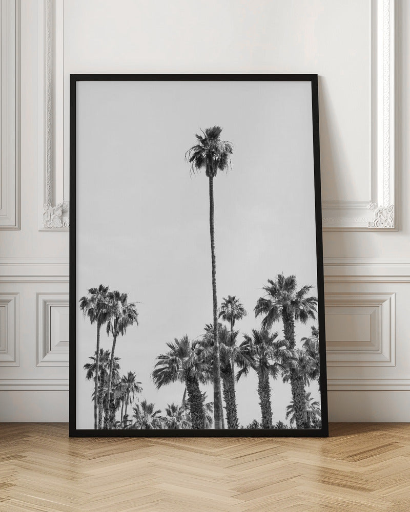 Palm Trees at the beach | monochrome Poster