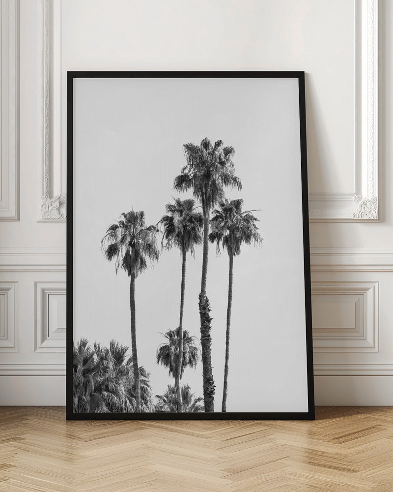 Palm trees | monochrome Poster