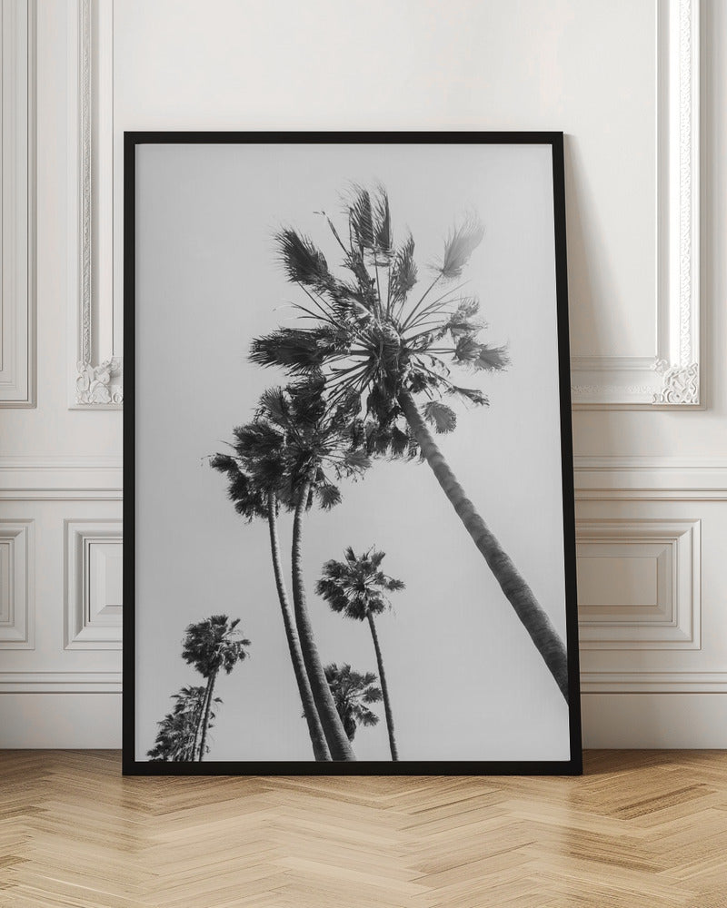 Palm trees in the sun | monochrome Poster