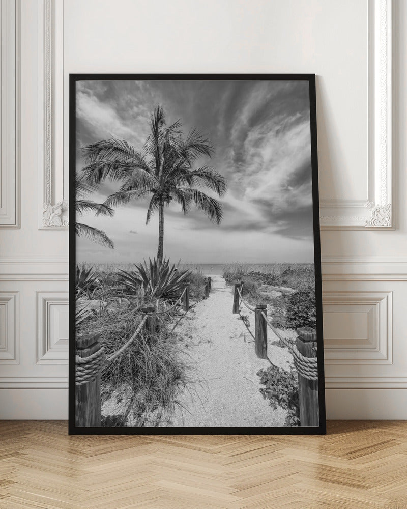 Path to the beach - monochrome Poster