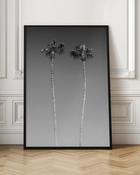 Idyllic Palm trees | Monochrome Poster