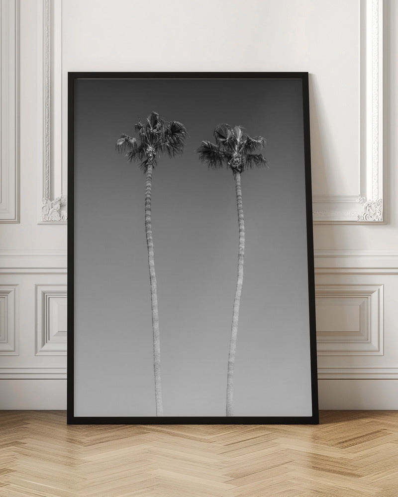 Idyllic Palm trees | Monochrome Poster