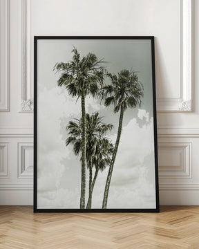 Palm Trees and sky | Vintage Poster