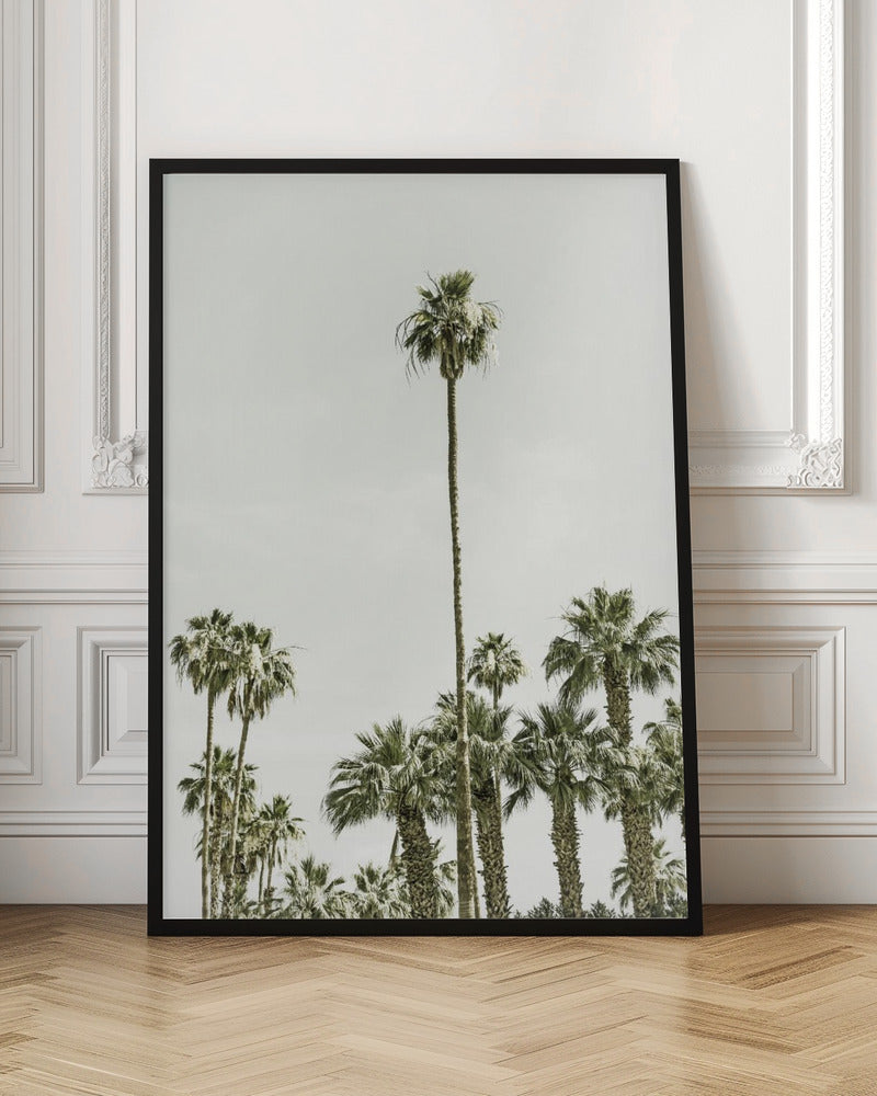 Palm Trees at the beach Poster