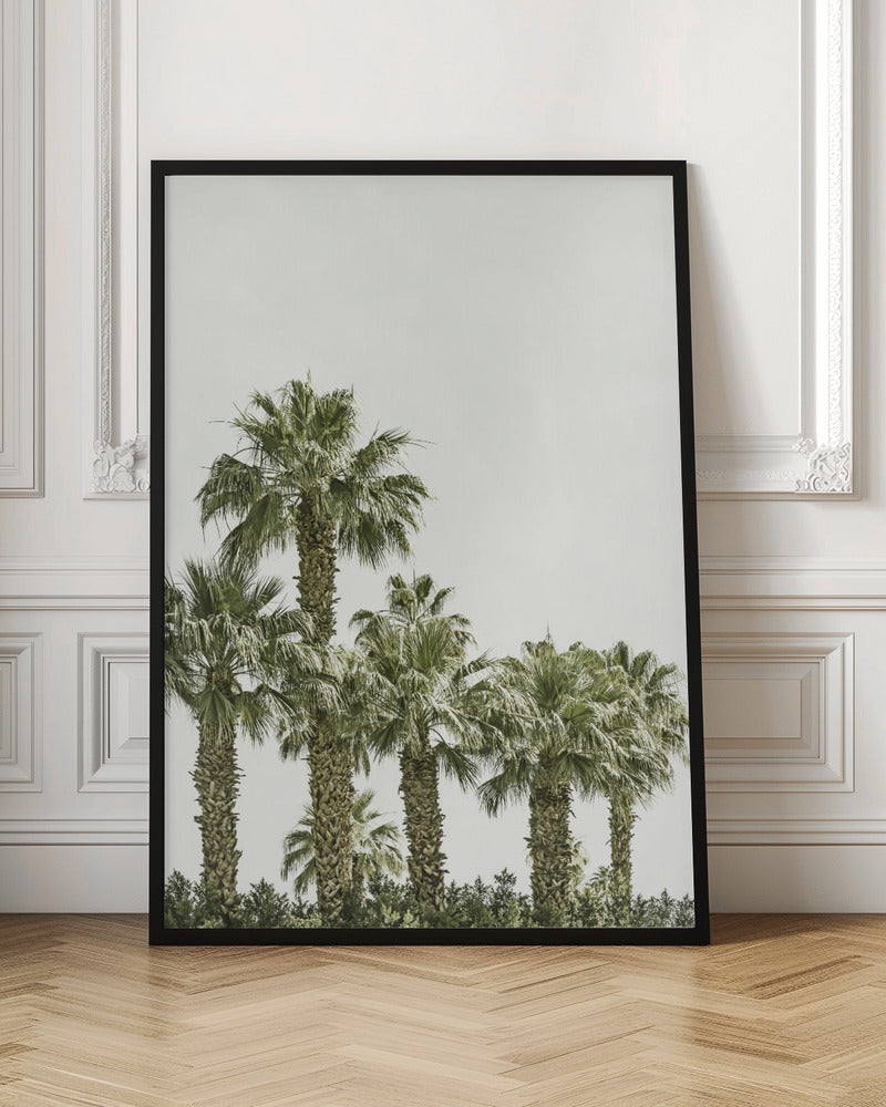 Tropical Palm Trees | Vintage Poster