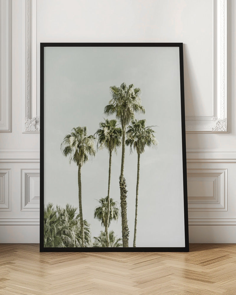 Palm Trees Summertime Poster