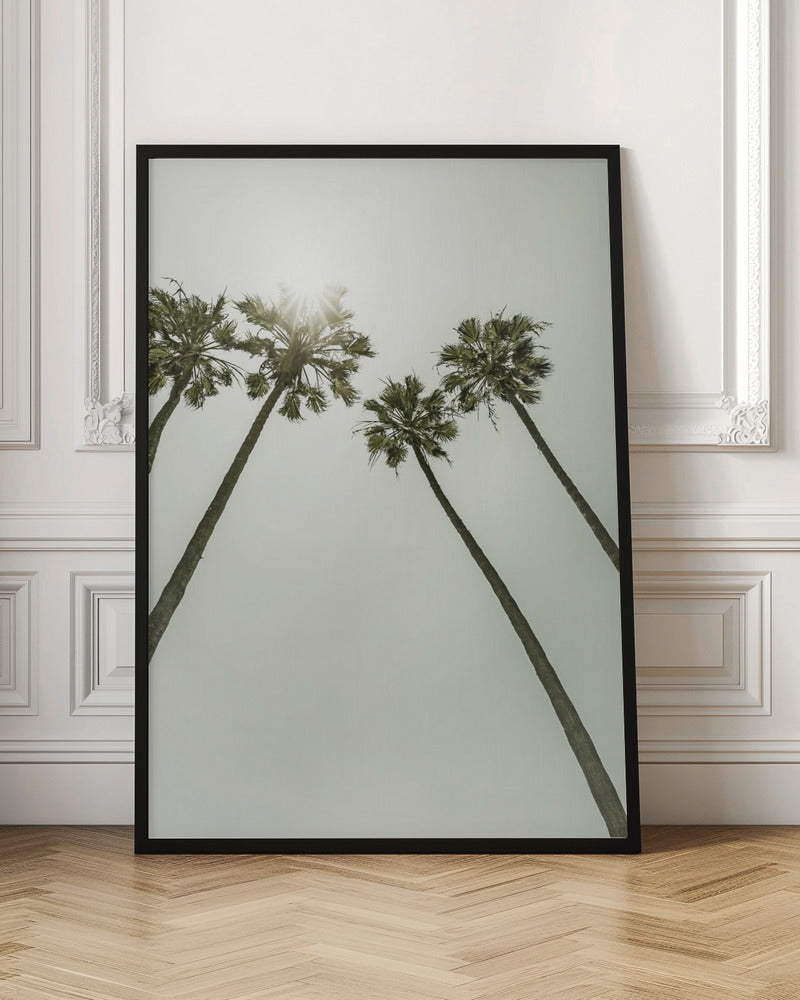 Palm Trees in the sun | Vintage Poster