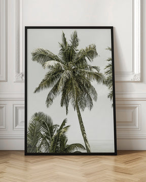 Palm Trees by the ocean | Vintage Poster