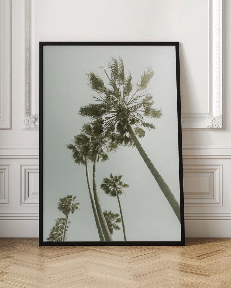 Vintage Palm Trees in the sun Poster