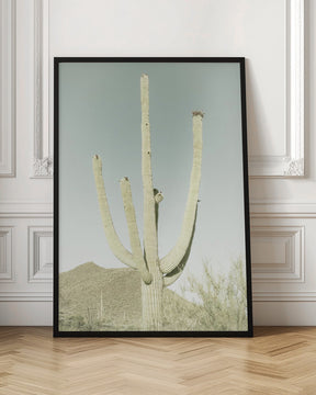 SAGUARO NATIONAL PARK Vintage Giant Saguaro Poster