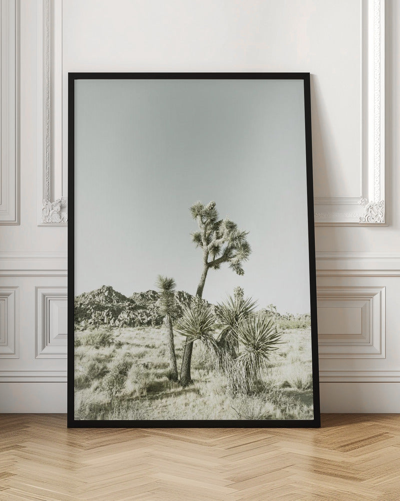 Joshua Tree National Park Vintage Impression Poster