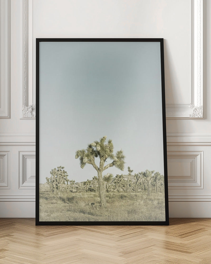 Vintage Joshua Tree National Park Poster