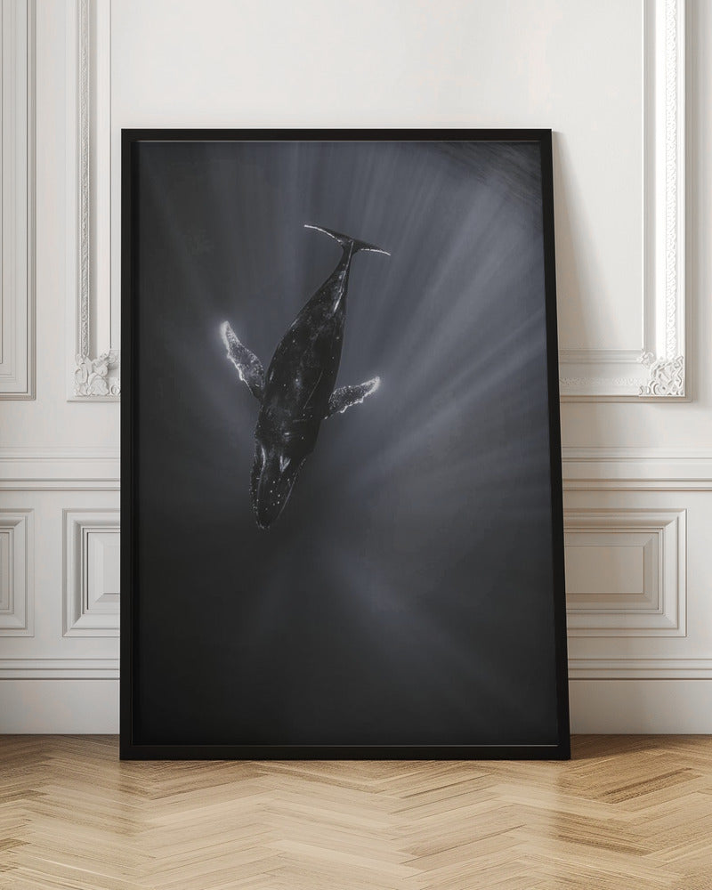 Light and Whale Poster