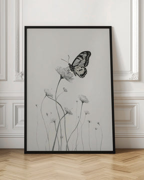 Butterfly and Flowers Poster