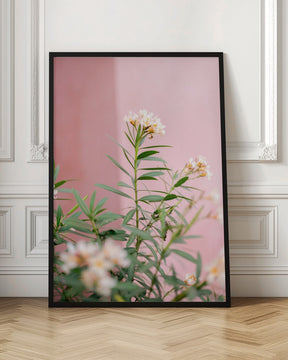 Soft greens and Pink | Botanical Oaxaca Mexico Poster