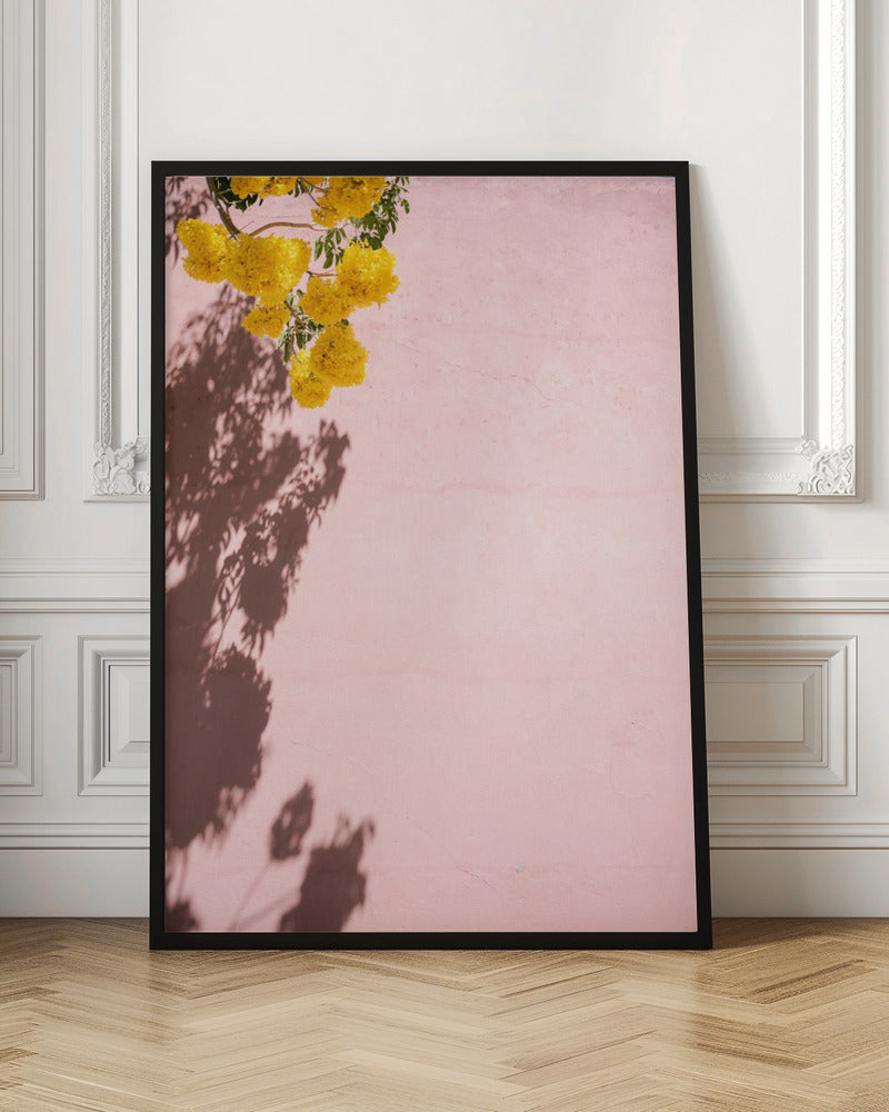 Yellow and Pink | Oaxaca Mexico Poster