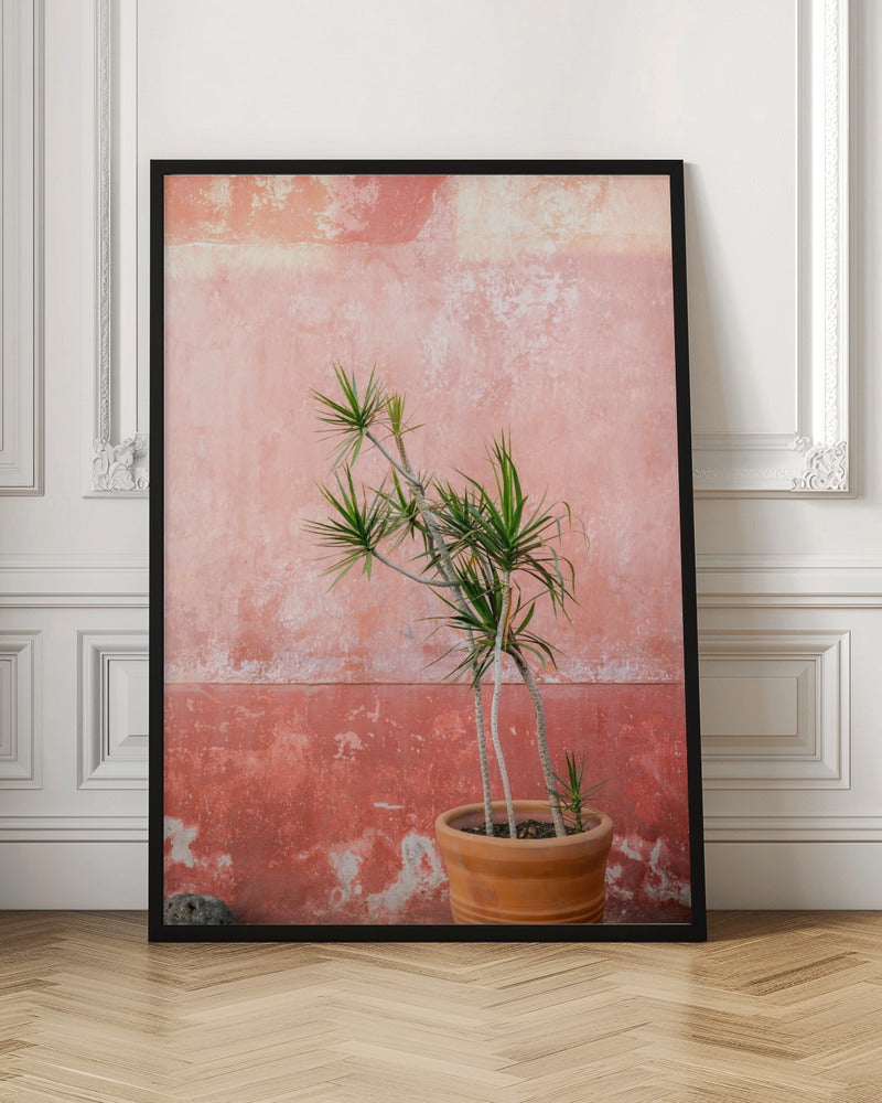 Botanical Oaxaca | Mexico travel photography Poster