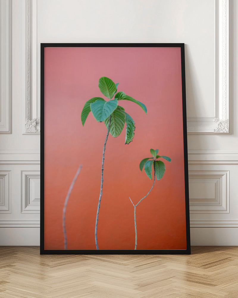 Green on Orange | Oaxaca Botanical vibes Poster