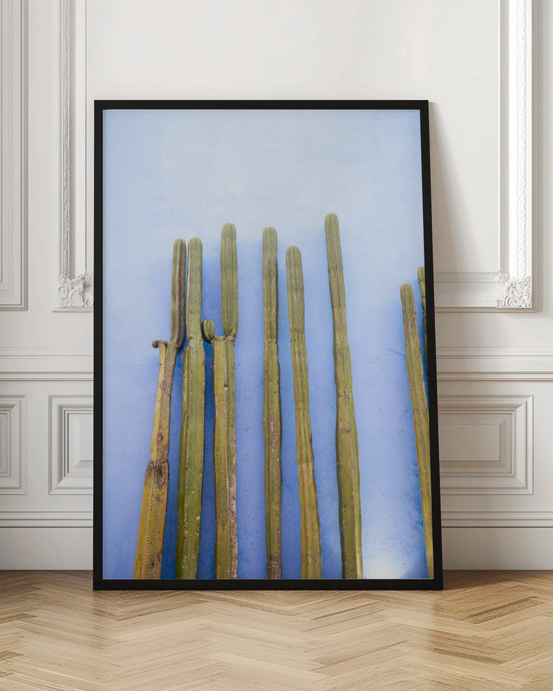 Tall Cacti on Blue | Oaxaca Mexico Travel Poster