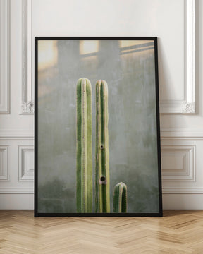 Greens and grey | Cacti in Oaxaca Mexico Poster