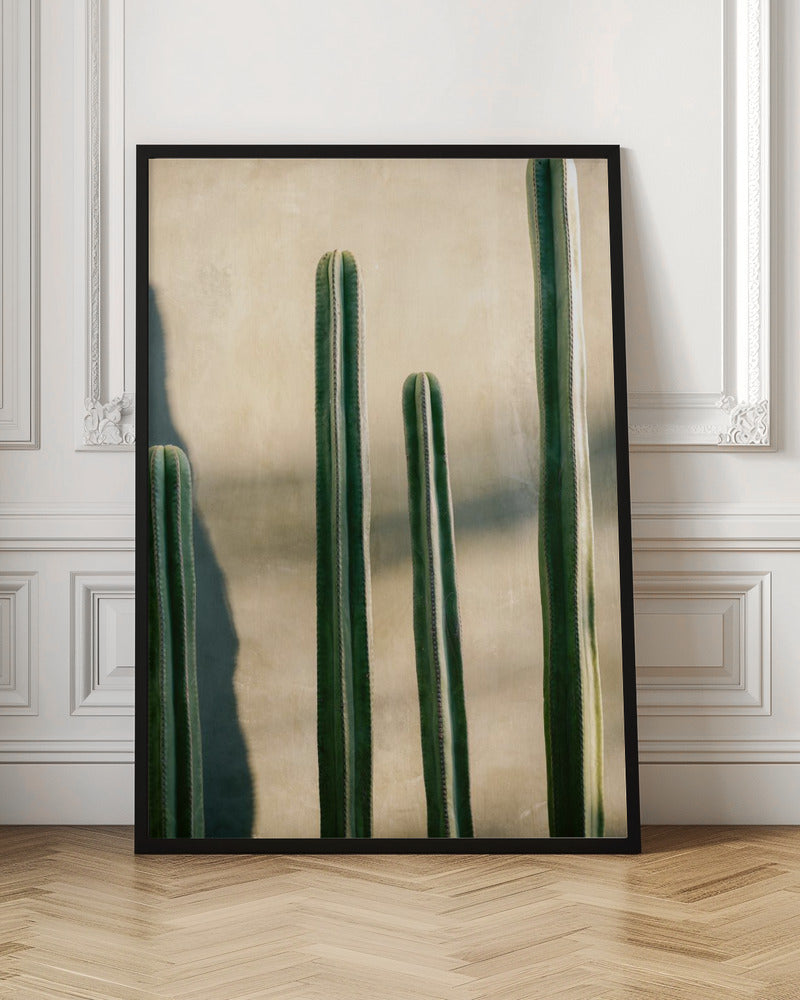 Oaxaca Shades of Green | Mexico travel photography Poster