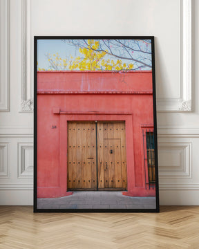 The Wooden Door | Botanical Oaxaca Mexico Poster