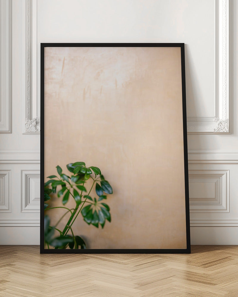 Botanical Oaxaca Scene | Mexico travel photography Poster