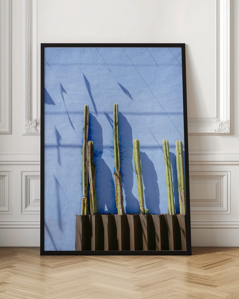 Tall Cacti | Oaxaca Mexico travel photography Poster