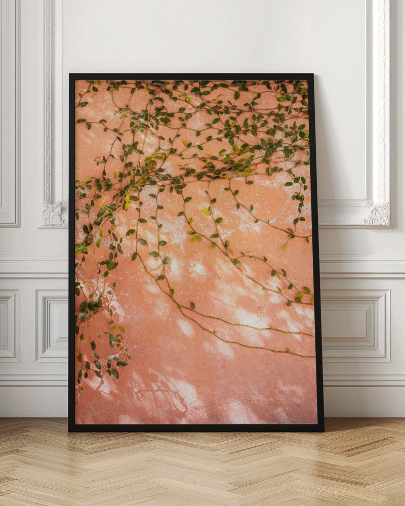 Botanical San Miguel de Allende | Mexico travel photography Poster