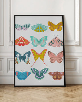 Butterfly Poster