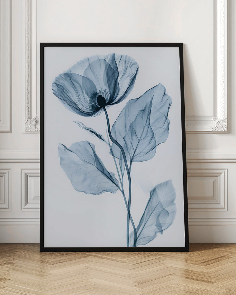 X-Rayed Flower Poster