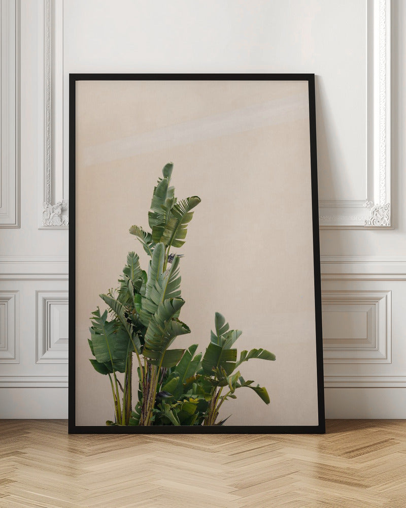 Botanical Cannes Poster