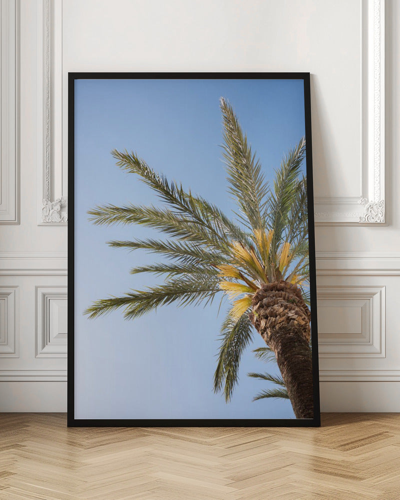 Vejer de La Frontera Palm Tree Poster