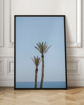 Moroccan Coast Palm Trees Poster