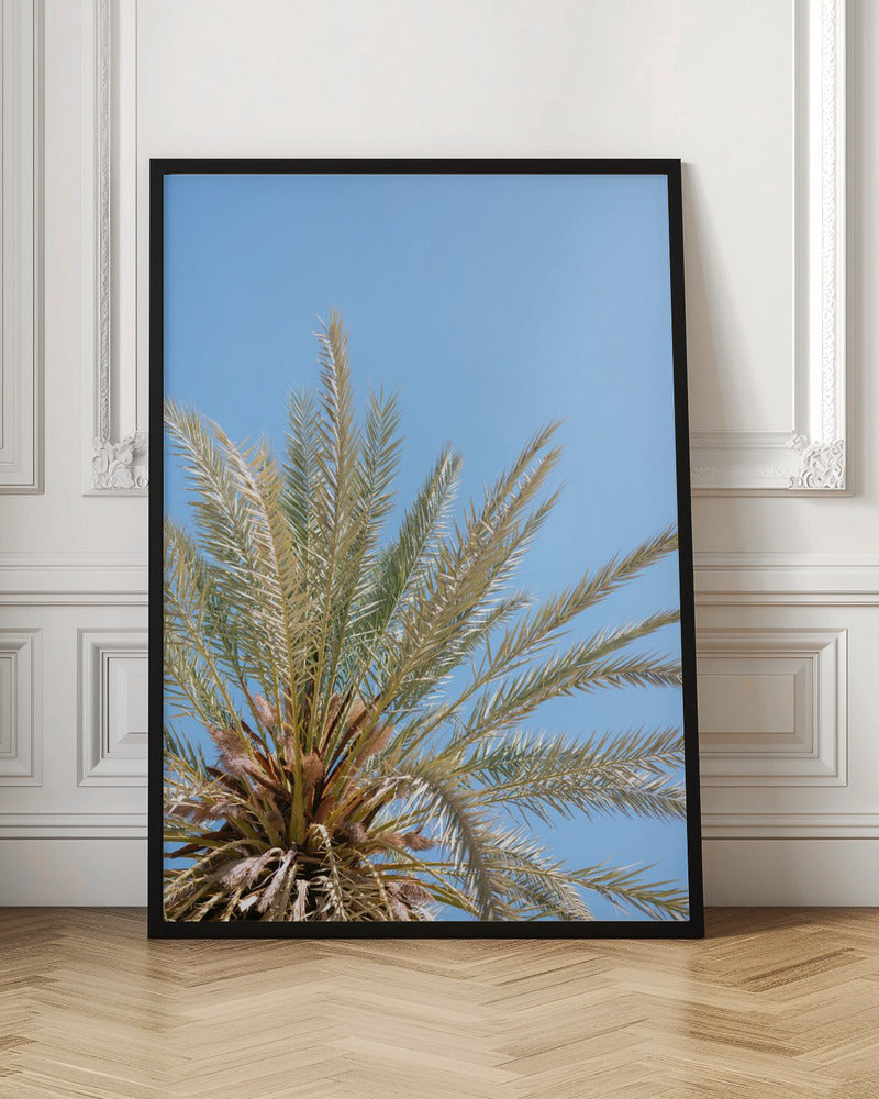 Moroccan Coast Palm Tree Poster