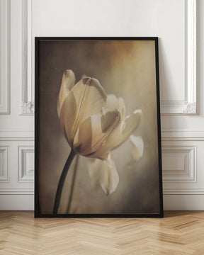 Pastel Tulip Poster