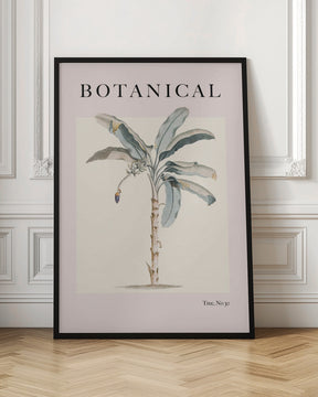 Botanicalno30 Ratioiso Poster