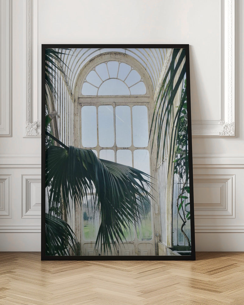 Palm House Windows Poster