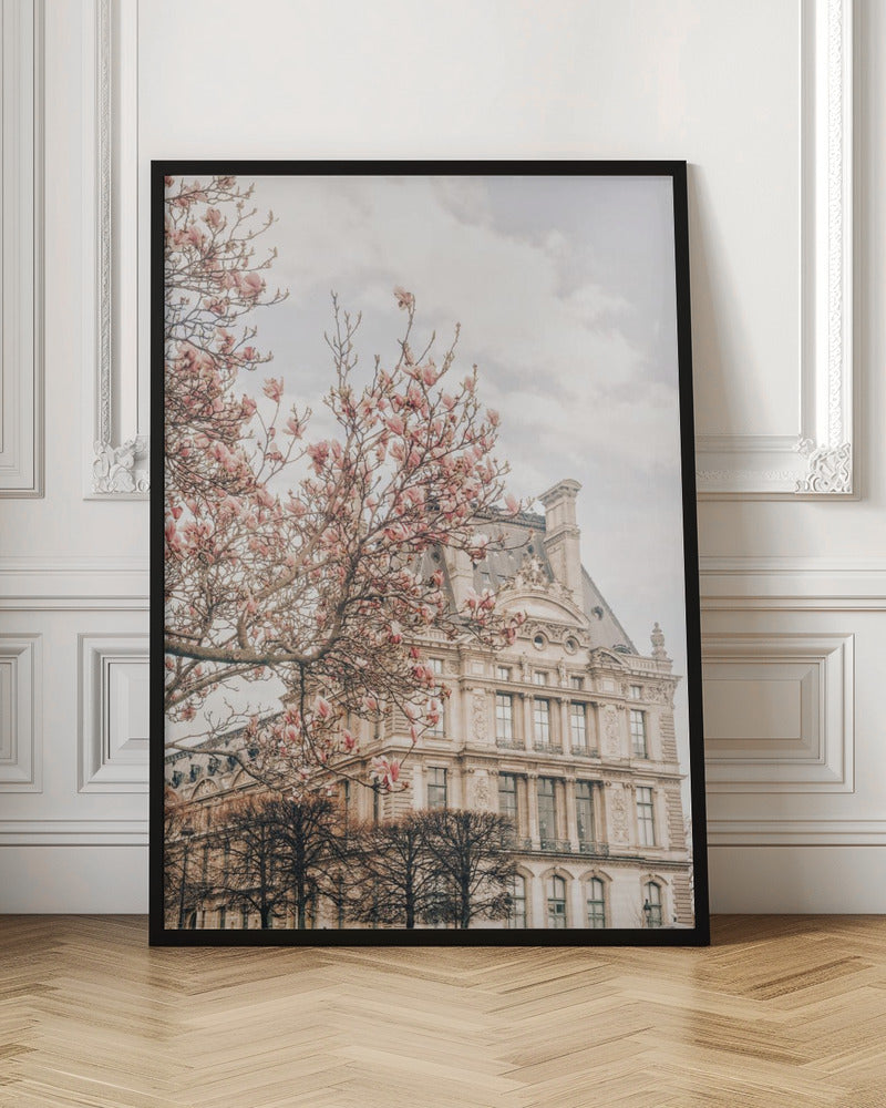 Magnoliaparis Ratioiso Poster